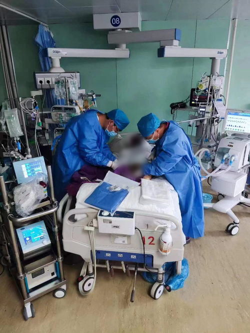 從廚房到生命線 國產急救轉運型ECMO實現猝死救治新突破