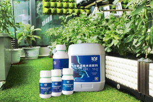 皇圖生態農業 魚肽有機肥的創新與應用